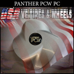 PANTHER SILVER CAP (emr-125)